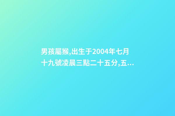 男孩屬猴,出生于2004年七月十九號凌晨三點二十五分,五行缺什么 2004年屬猴時辰命運，2004年幾點出生更好